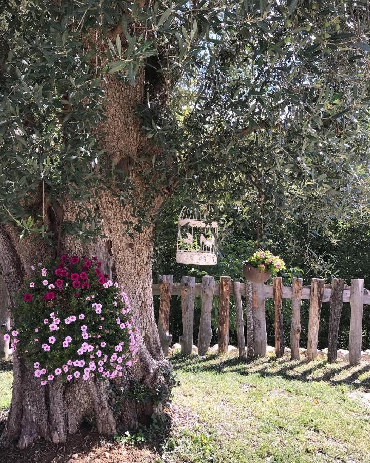 Agriturismo Le Faeta Arpino Exteriör bild