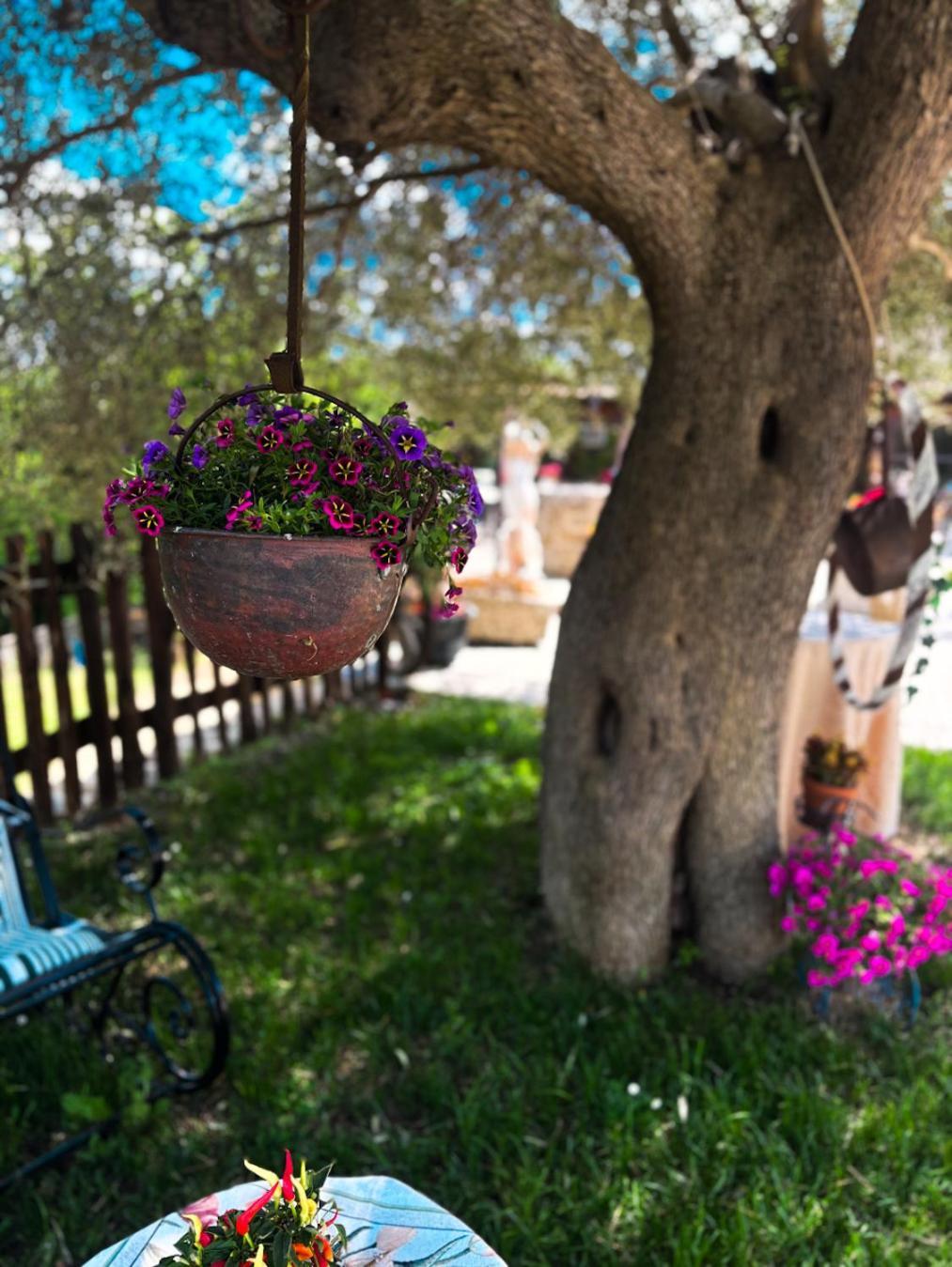 Agriturismo Le Faeta Arpino Exteriör bild