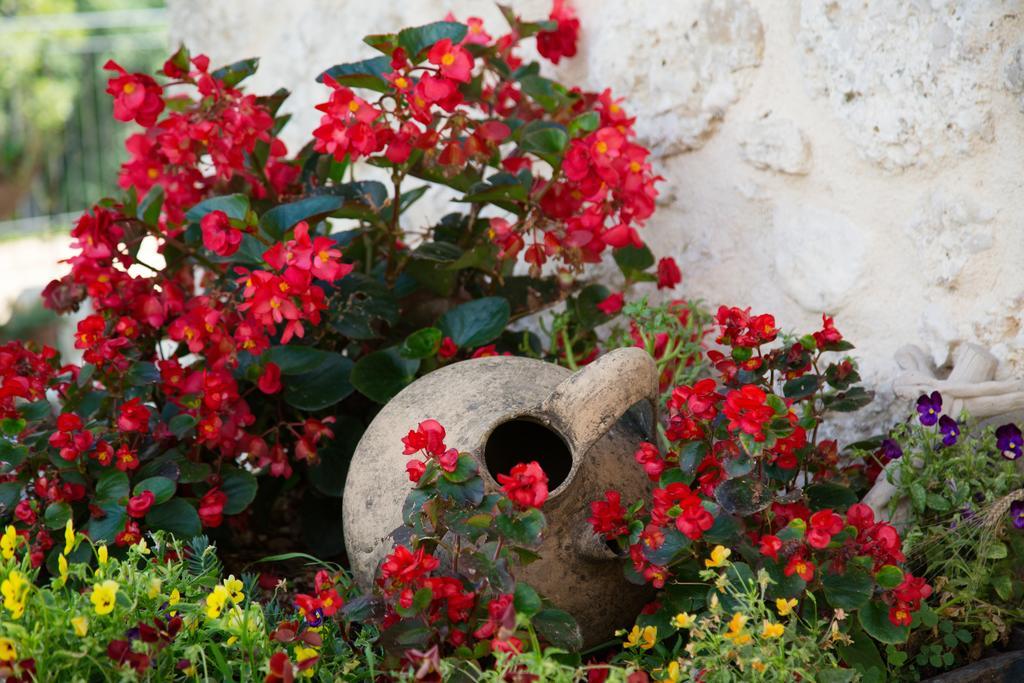 Agriturismo Le Faeta Arpino Exteriör bild